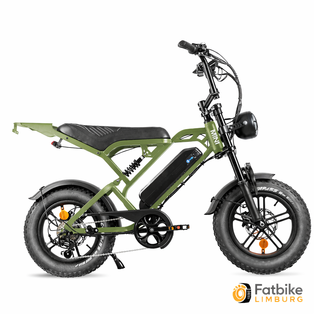 QmWheel V20 Mini – Fatbike – Groen